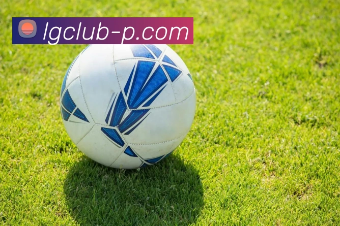 老哥俱乐部官网服务体系